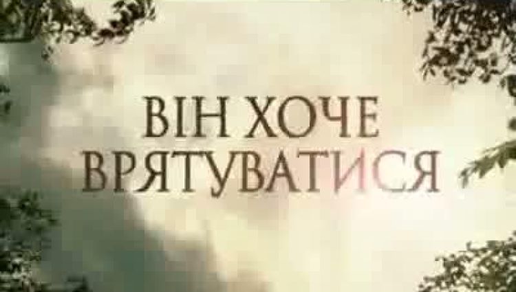 Телевизионный ролик