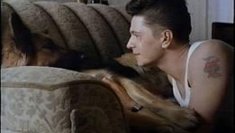 Трейлер