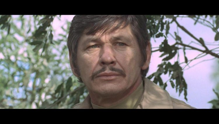Трейлер