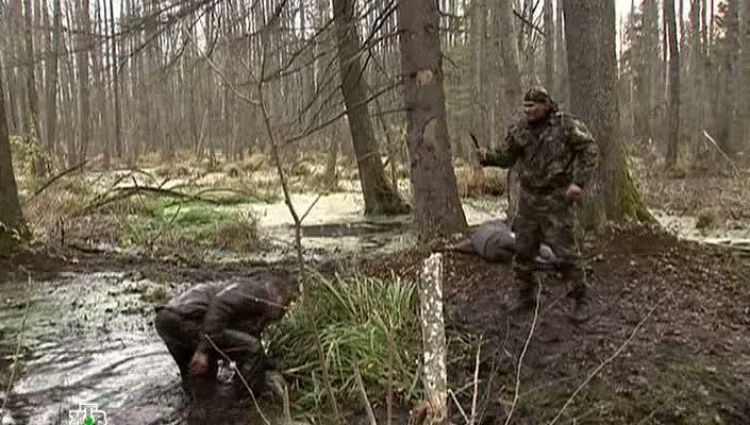 Эпизод (актерский)