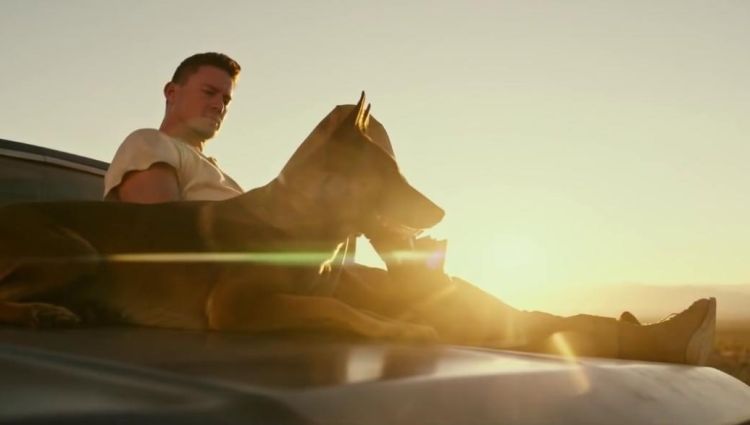 Трейлер #2