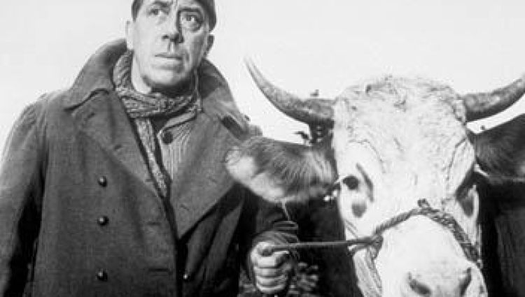 Трейлер