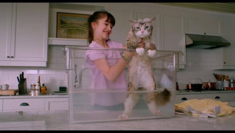 Трейлер