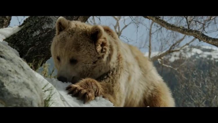 Трейлер