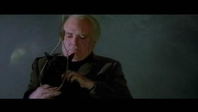 Трейлер