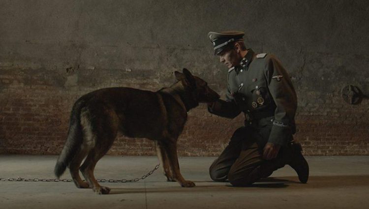 Трейлер #2