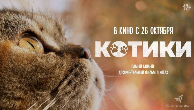 Трейлер (рус.)