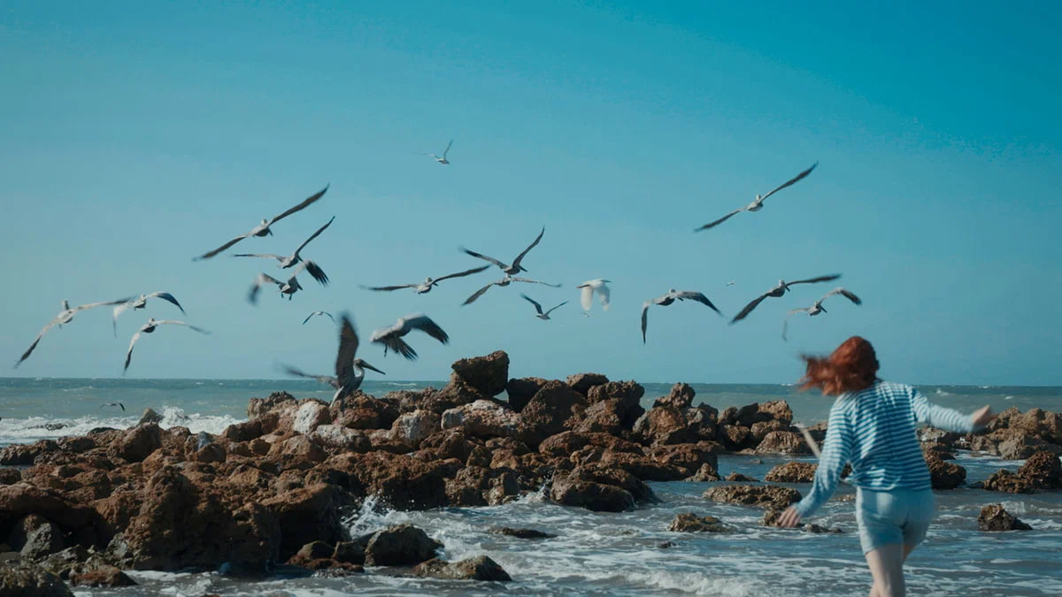 Cъёмки картины прошли в Колумбии, Германии и Франции