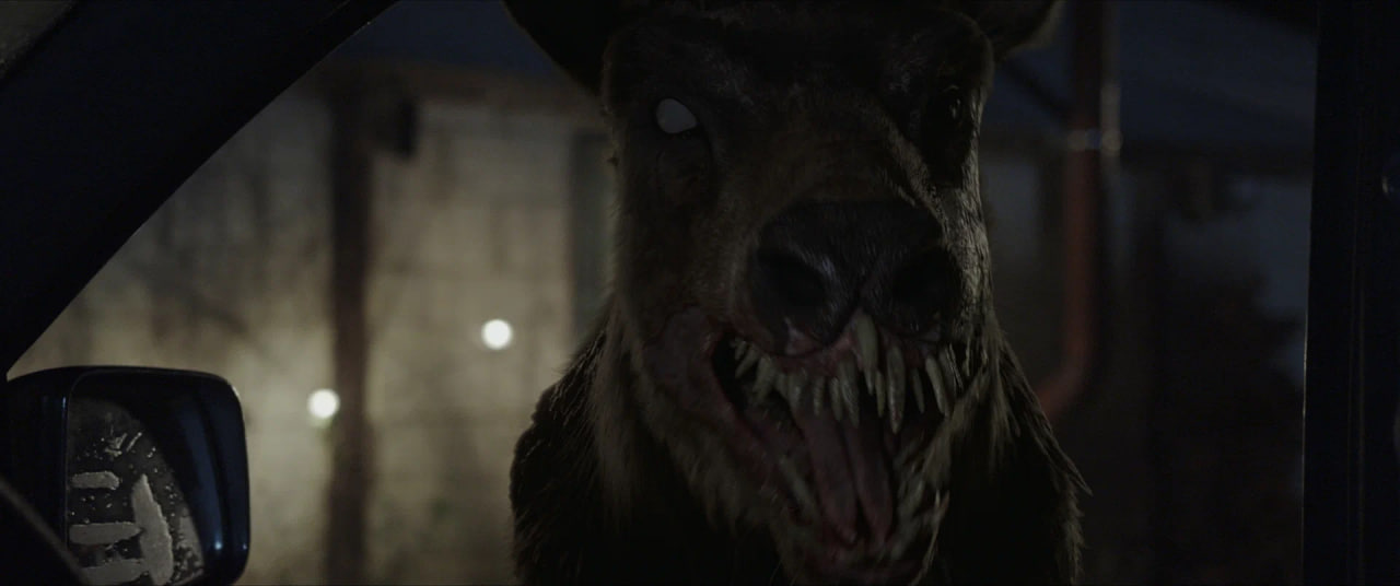 Автор романа «Бэмби» Феликс Зальтен упоминается в титрах, но, как можно догадаться, имеет к фильму самое отдаленное отношение