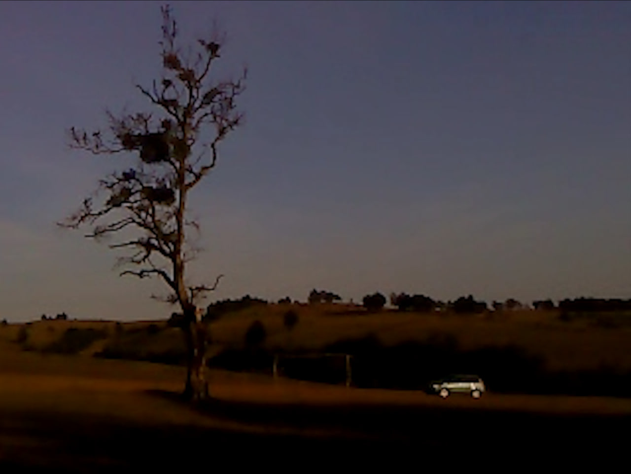 Кроме Локарно, фильм побывал на фестивалях в Нью-Йорке, Торонто и Лондоне