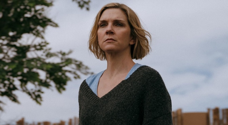 Рэй Сихорн в сериале «Одна из многих»