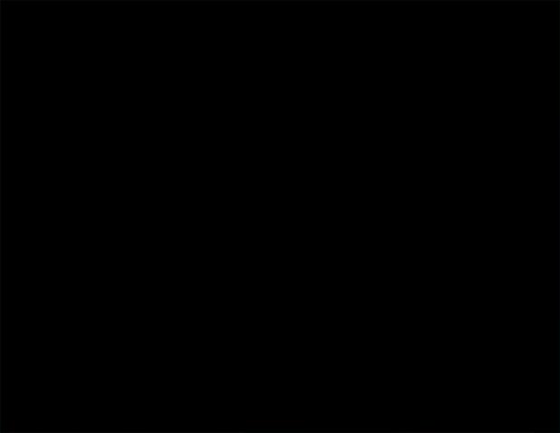 Дес Бишоп