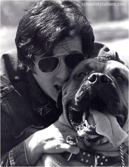 Butkus Stallone