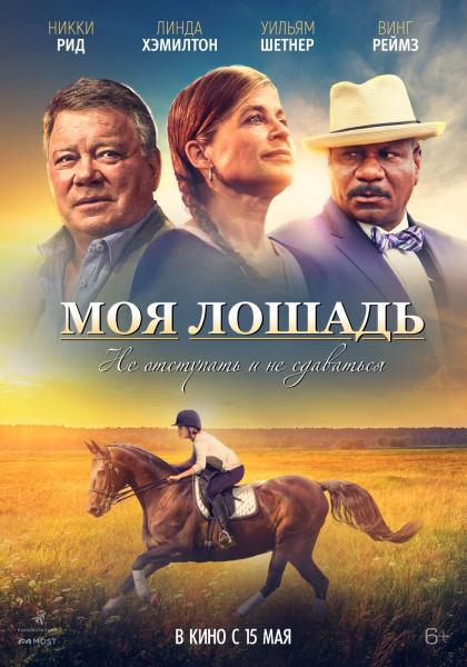 Моя лошадь
