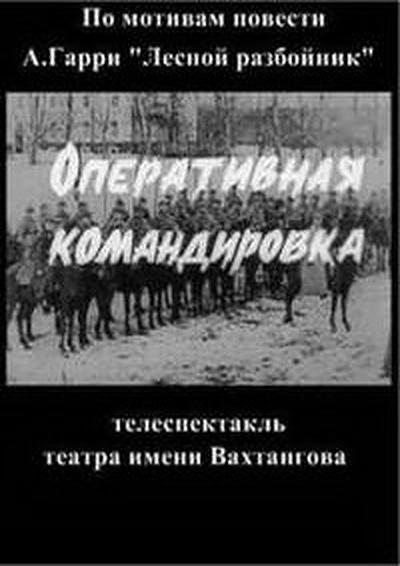 Оперативная командировка