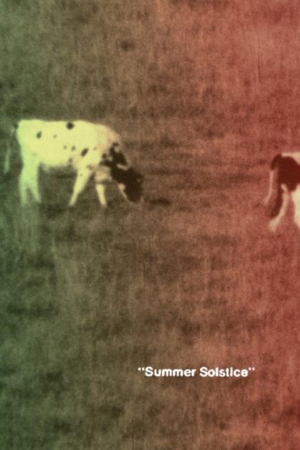 Летнее солнцестояние