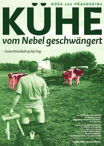 Kühe, vom Nebel geschwängert
