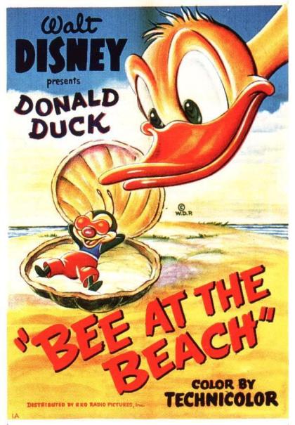 Bee at the Beach
