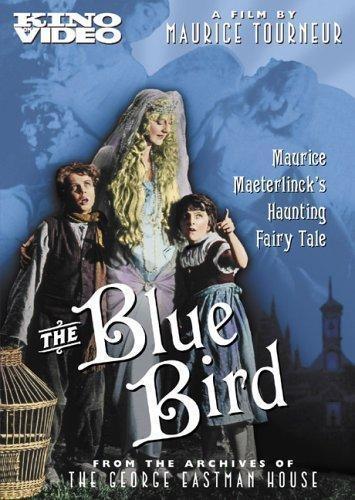 Blue Bird