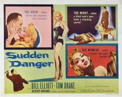 Sudden Danger