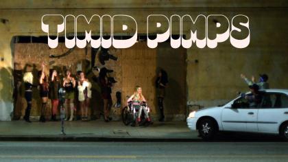 Timid Pimps