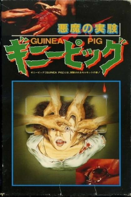 Guinea Pig