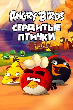 Angry Birds Toons