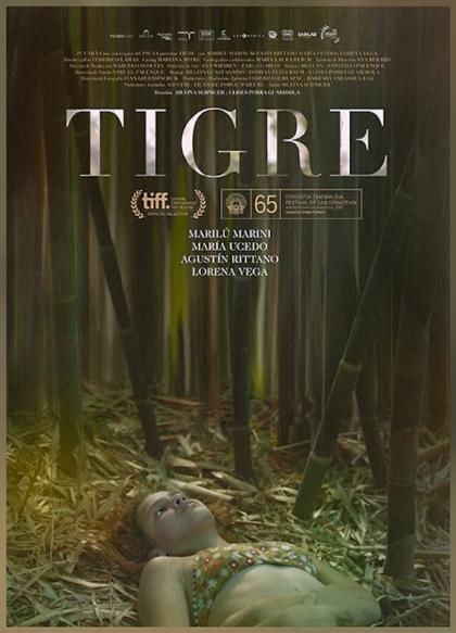 Tigre 