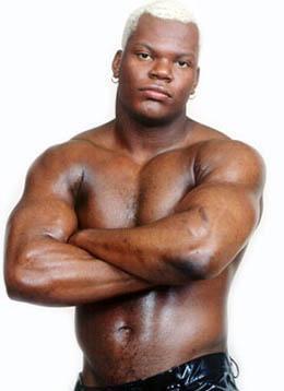 Slyck Wagner Brown
