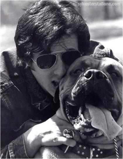 Butkus Stallone