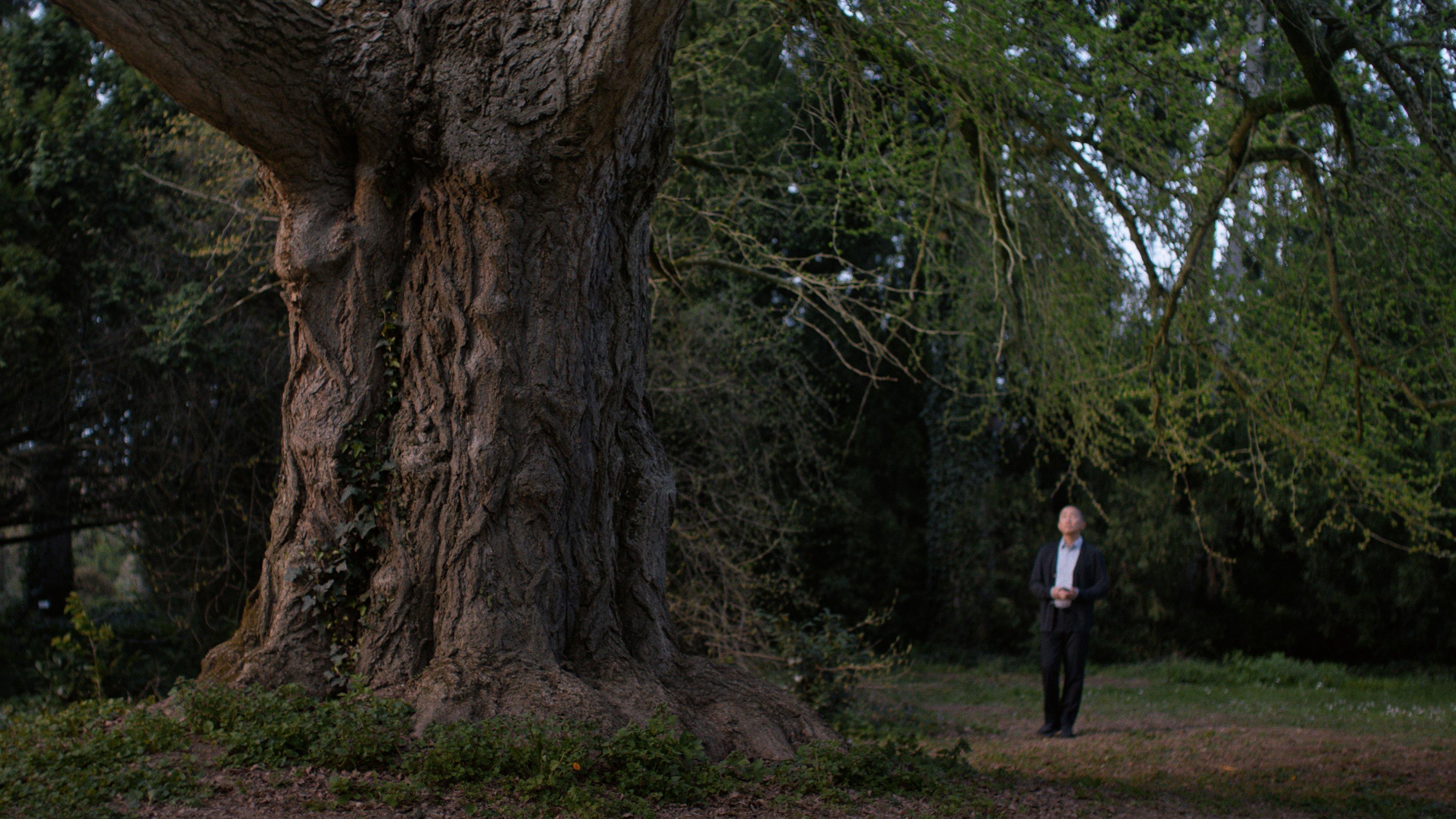 Леа Сейду, дерево гинкго и три временных пласта в медитативной драме «Молчаливый друг»