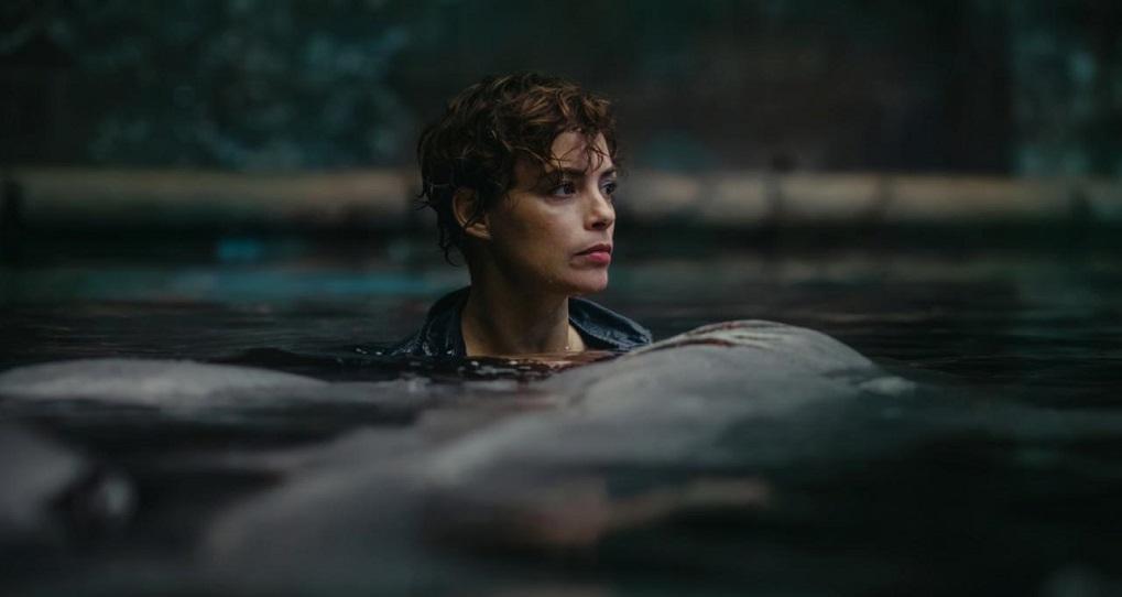 Сиквел дня. Александр Ажа начал съёмки второй части хита Netflix «Акулы в Париже»