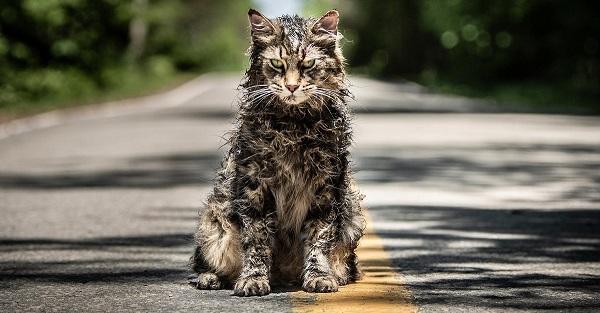 Первые отзывы на ремейк «Кладбища домашних животных»: Одна из лучших экранизаций Кинга?