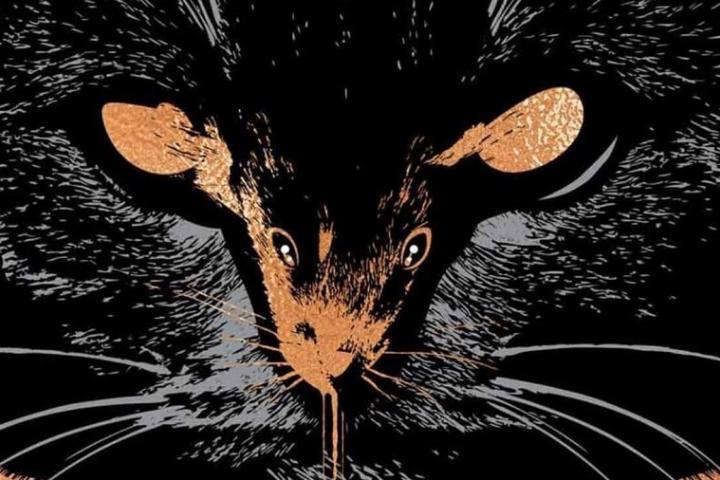 Экранизация дня. Продюсер «Ведьмы» и «Маяка» перенесёт на экран повесть Стивена Кинга «Крыса» из сборника «Будет кровь»