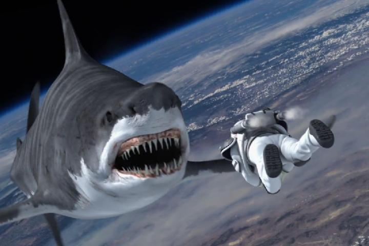 Франшиза дня. «Акулий торнадо» возвращается — студия The Asylum готовит седьмой фильм культовой серии