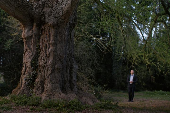 Леа Сейду, дерево гинкго и три временных пласта в медитативной драме «Молчаливый друг»