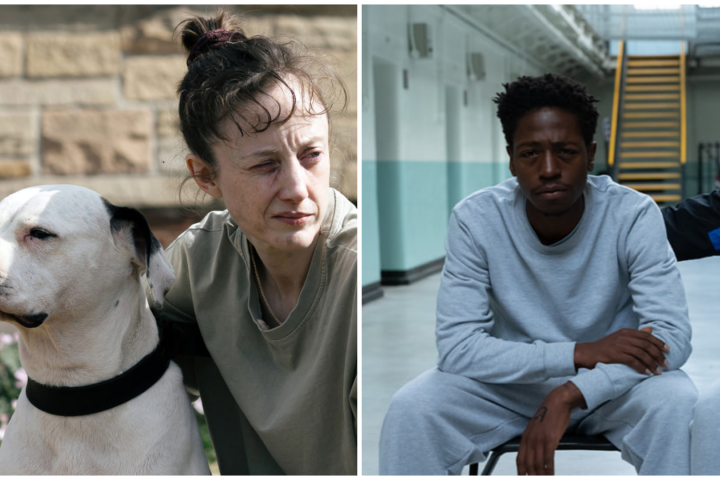 «Стрекоза» и «Мусорщик»: Мужская и женская дружба по-британски