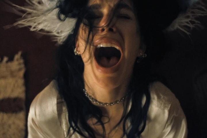 Хорошую вещь браком не назовут: кровь, саспенс и родня в «У меня очень плохое предчувствие»