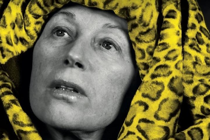 Постер дня. Американская фотохудожница Синди Шерман создала официальный постер 79-го кинофестиваля в Локарно