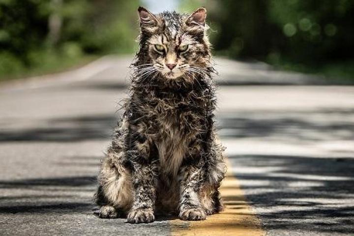Первые отзывы на ремейк «Кладбища домашних животных»: Одна из лучших экранизаций Кинга?