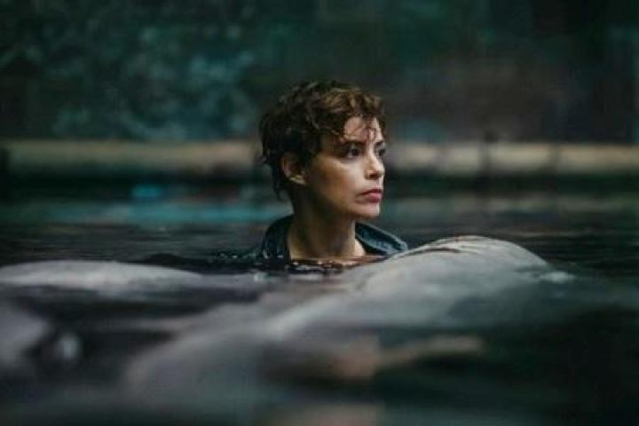 Режиссер хоррора «Граница» снимет фильм об акуле в Париже
